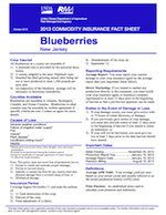 Crop Insurance Blueberry