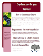 Crop Insurance Wine Grapes