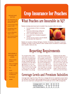 Crop Insurance Peaches